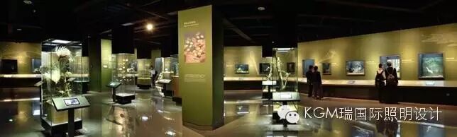 KGM瑞 ∣ 光述自然之史 · 上海自然博物馆室内展陈照明设计（下）