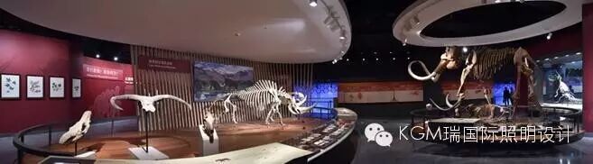 KGM瑞 ∣ 光述自然之史 · 上海自然博物馆室内展陈照明设计（下）