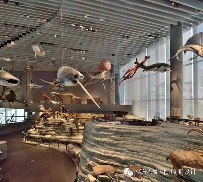 KGM瑞 ∣ 光述自然之史 · 上海自然博物馆室内展陈照明设计（下）