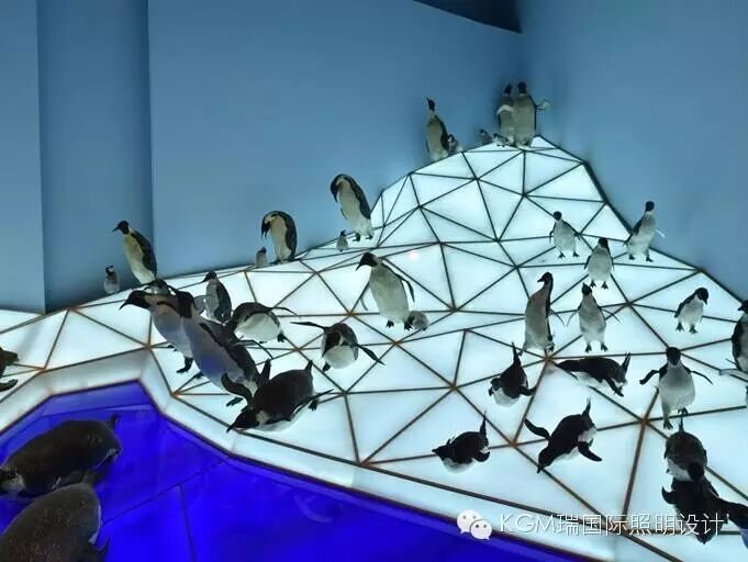 KGM瑞 ∣ 光述自然之史 · 上海自然博物馆室内展陈照明设计（下）