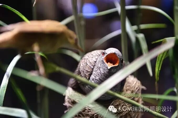 KGM瑞 ∣ 光述自然之史 · 上海自然博物馆室内展陈照明设计（下）