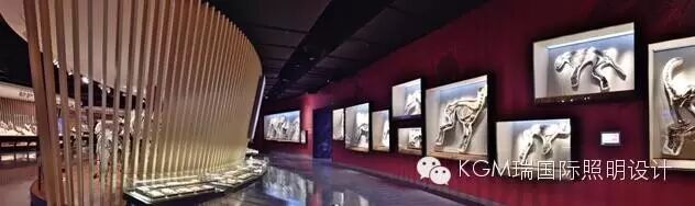 KGM瑞 ∣ 光述自然之史 · 上海自然博物馆室内展陈照明设计（下）