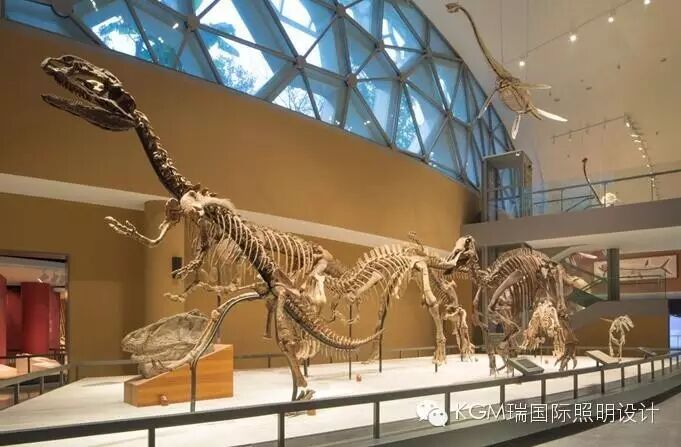 KGM瑞 ∣ 光述自然之史 · 上海自然博物馆室内展陈照明设计（下）