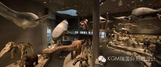 KGM瑞 ∣ 光述自然之史 · 上海自然博物馆室内展陈照明设计（下）