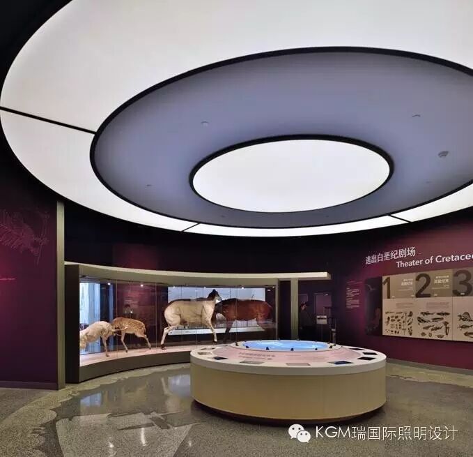 KGM瑞 ∣ 光述自然之史 · 上海自然博物馆室内展陈照明设计（下）