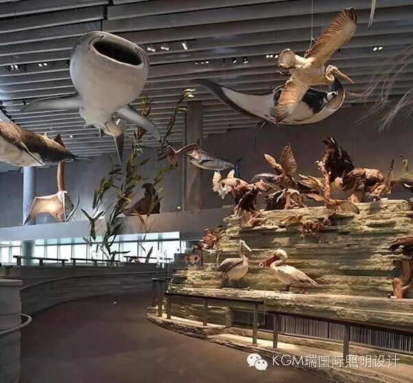 KGM瑞 ∣ 光述自然之史 · 上海自然博物馆室内展陈照明设计