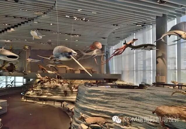 白色情人节 ∣ KGM瑞来赴约啦