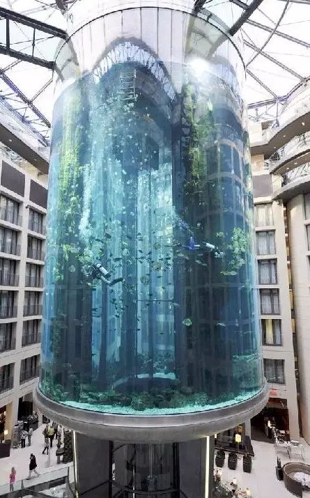 德国建8层楼高巨型鱼缸 游客可乘电梯观光