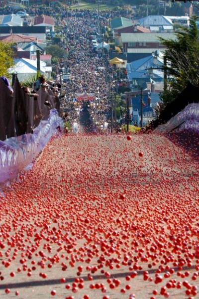 不走寻常路：新西兰的最陡斜坡