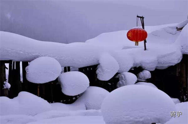 东北雪景哪家强?雪乡·雪谷·雪村·雪岭