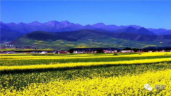 兰新高铁沿途美景,尤其是青海段! - 斩云剑 - 斩云剑的博客 兰新高铁沿途美景,尤其是青海段! - 斩云剑 - 斩云剑的博客