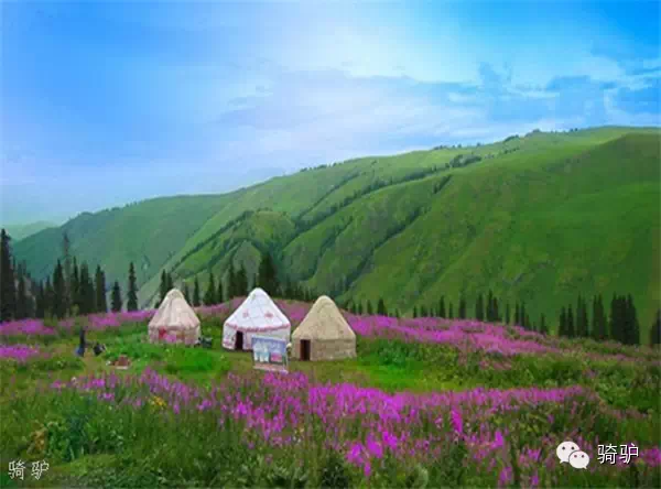 兰新高铁沿途美景,尤其是青海段! - 斩云剑 - 斩云剑的博客 兰新高铁沿途美景,尤其是青海段! - 斩云剑 - 斩云剑的博客