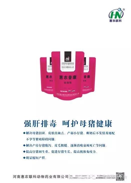 假怀孕的母猪,欺骗过您吗??-怀孕期