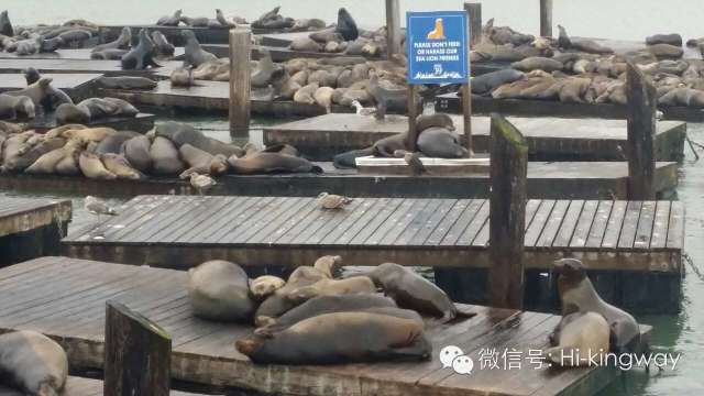 【游学记之渔人码头科技馆】我们的快乐风雨无阻! - kingwayschool - 【游学记之渔人码头科技馆】我们的快乐风雨无阻! - kingwayschool -