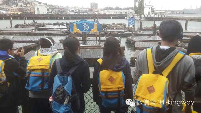 【游学记之渔人码头科技馆】我们的快乐风雨无阻! - kingwayschool - 【游学记之渔人码头科技馆】我们的快乐风雨无阻! - kingwayschool -