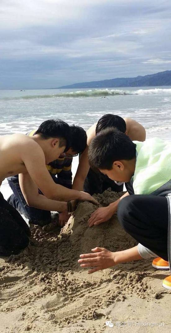 【游学记之LA篇】蓝天、阳光、海滩,今年冬天我们不再冷! - kingwayschool - 【游学记之LA篇】蓝天、阳光、海滩,今年冬天我们不再冷! - kingwayschool -