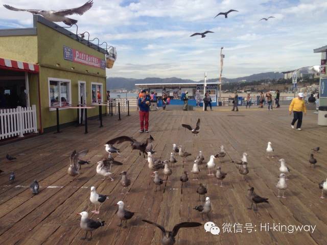 【游学记之LA篇】蓝天、阳光、海滩,今年冬天我们不再冷! - kingwayschool - 【游学记之LA篇】蓝天、阳光、海滩,今年冬天我们不再冷! - kingwayschool -