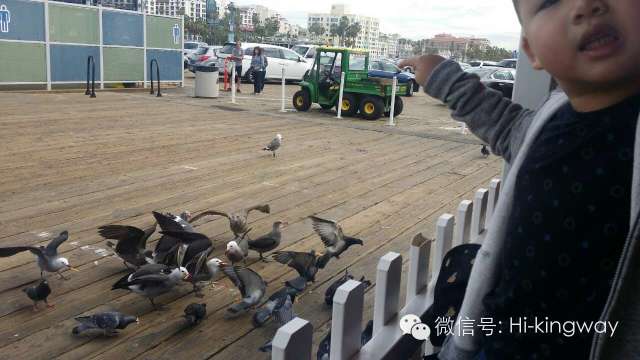 【游学记之LA篇】蓝天、阳光、海滩,今年冬天我们不再冷! - kingwayschool - 【游学记之LA篇】蓝天、阳光、海滩,今年冬天我们不再冷! - kingwayschool -