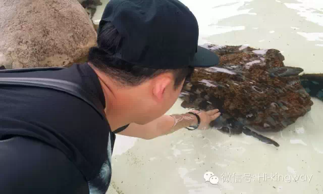 【游学记之海洋世界篇】:演绎一期不一样的动物世界 - kingwayschool - 【游学记之海洋世界篇】:演绎一期不一样的动物世界 - kingwayschool -