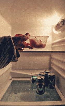 陌陌拯救了一群不孤独的美食家 还是要从冰箱说起,陌陌用一个真人