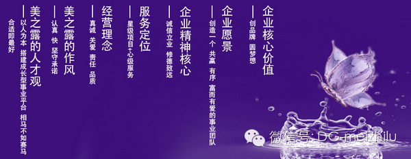 美之露美容集团
