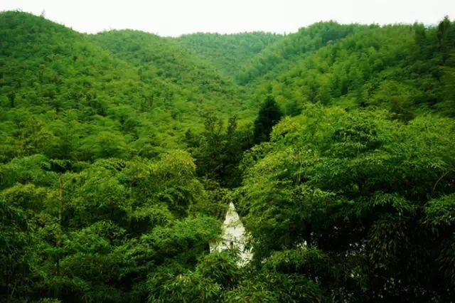 木格子地板_冠峰美學(xué)地板_愛峰木地板