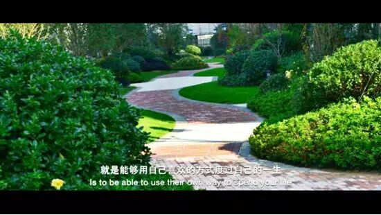 �㵴С��  ��Ӱ����