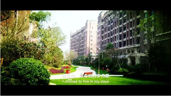 �㵴С��  ��Ӱ����