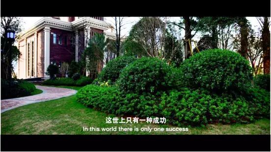 �㵴С��  ��Ӱ����