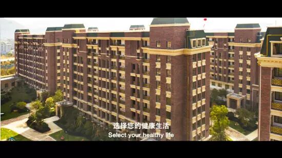 �㵴С��  ��Ӱ����