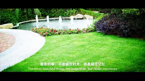 �㵴С��  ��Ӱ����