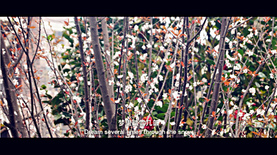 �㵴С��  ��Ӱ����