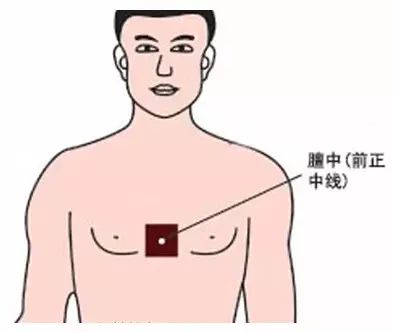 刮后上背部
