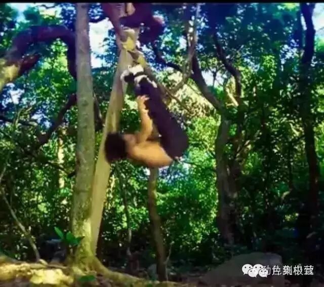 成龙最牛B的一段视频,房祖名看了都傻眼!