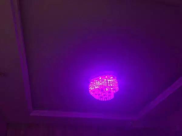 这是一篇逼疯设计师的文章！你家灯光咋能这么装？