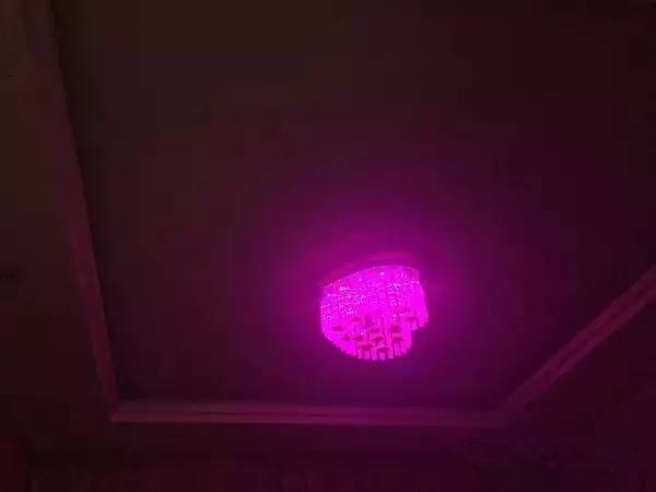 这是一篇逼疯设计师的文章！你家灯光咋能这么装？