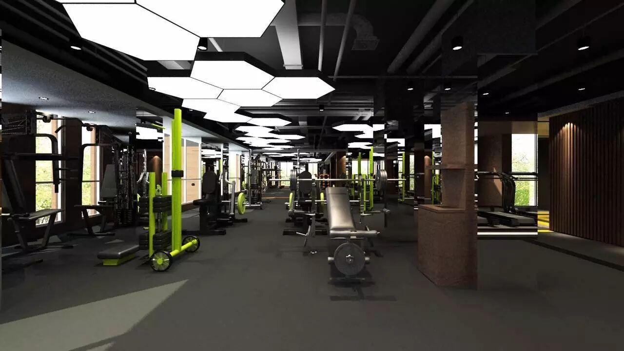 想学Top、彭于晏等一众男女神减肥成功？那你得先记住这一点！