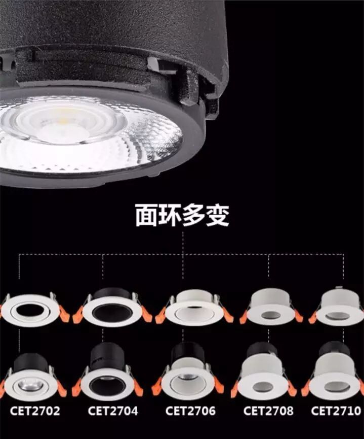 这样的“非凡搭档”，你想要吗？