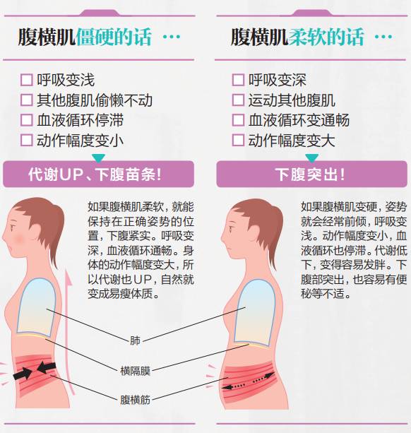 不论怎样减肥都瘦不下来,是腹部深层肌肉"腹横肌"僵硬导致的.