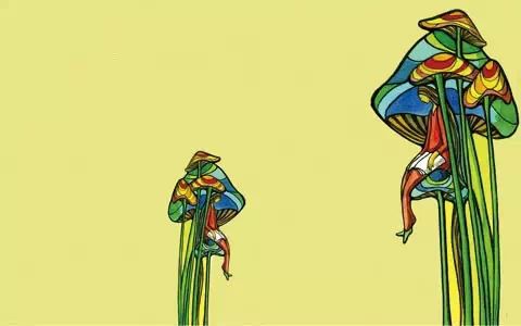  谁都不傻,谁都不笨 - 馨苑 - 馨苑的博客 谁都不傻,谁都不笨 - 馨苑 - 馨苑的博客
