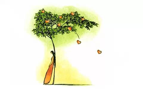 谁都不傻,谁都不笨 - 馨苑 - 馨苑的博客 谁都不傻,谁都不笨 - 馨苑 - 馨苑的博客