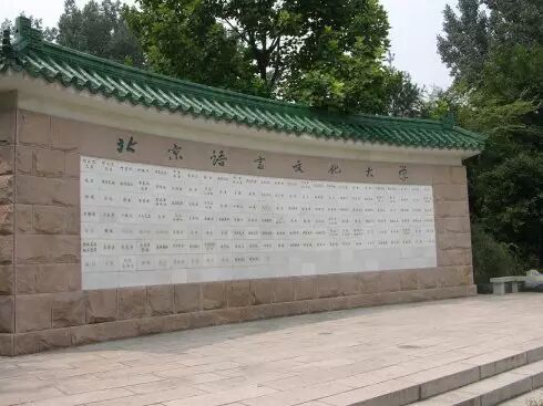 零度智控 DOBBY-D計(jì)劃