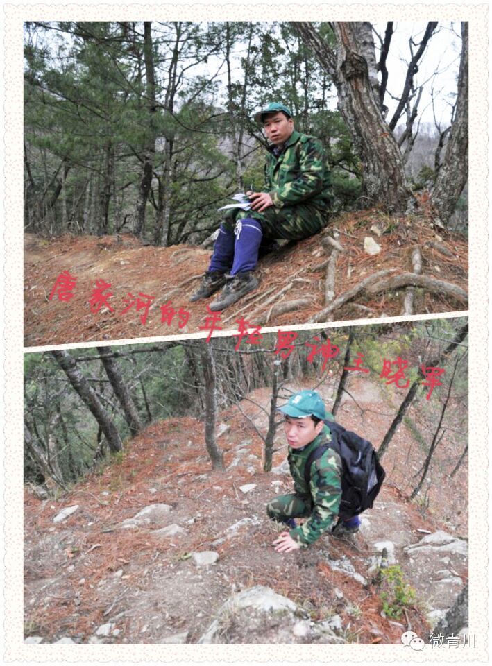 唐家河生命的守护神