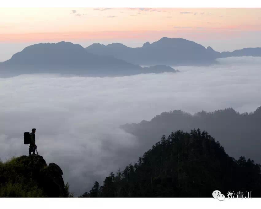 唐家河生命的守护神