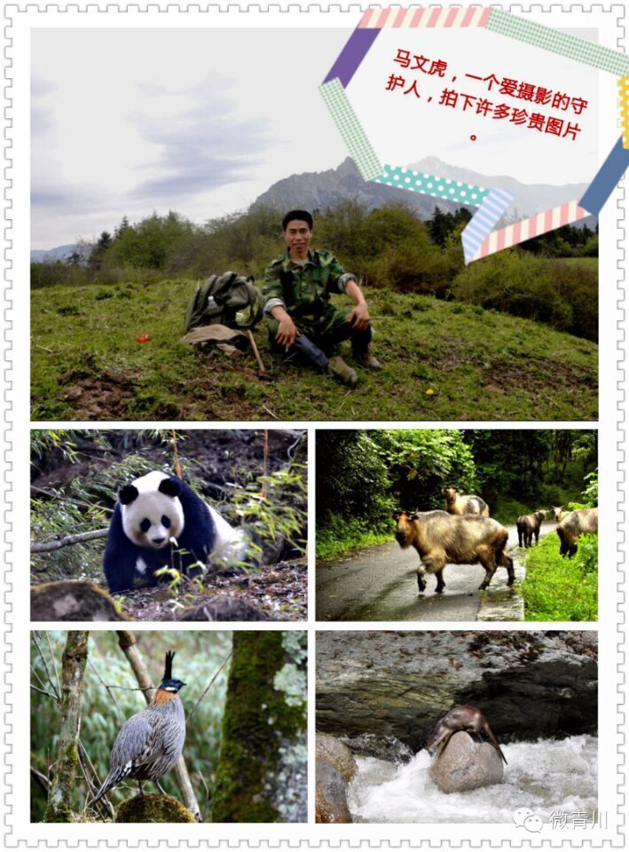 唐家河生命的守护神