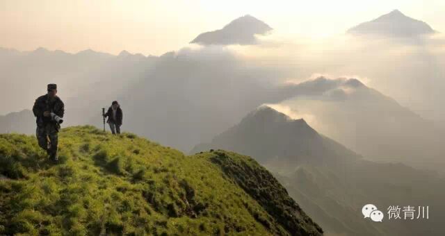 唐家河生命的守护神