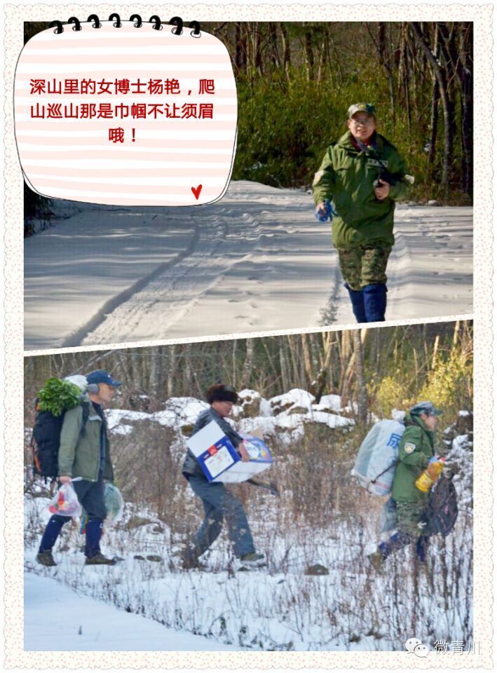 唐家河生命的守护神