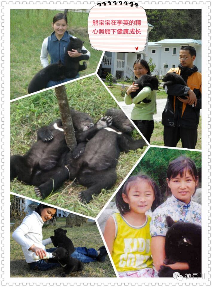 唐家河生命的守护神