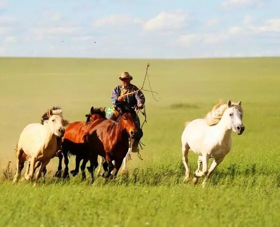 草原上的民俗谚语，句句都透着敞亮