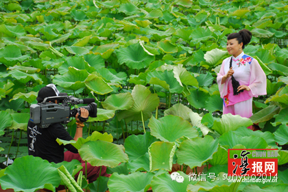 南京民俗文化简介：（二）民间音乐/戏曲类